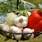 「食」と「気」を改めたいと思います！！凄く良かったです♫